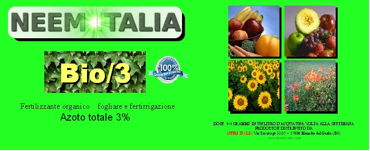 Sceda tecnica